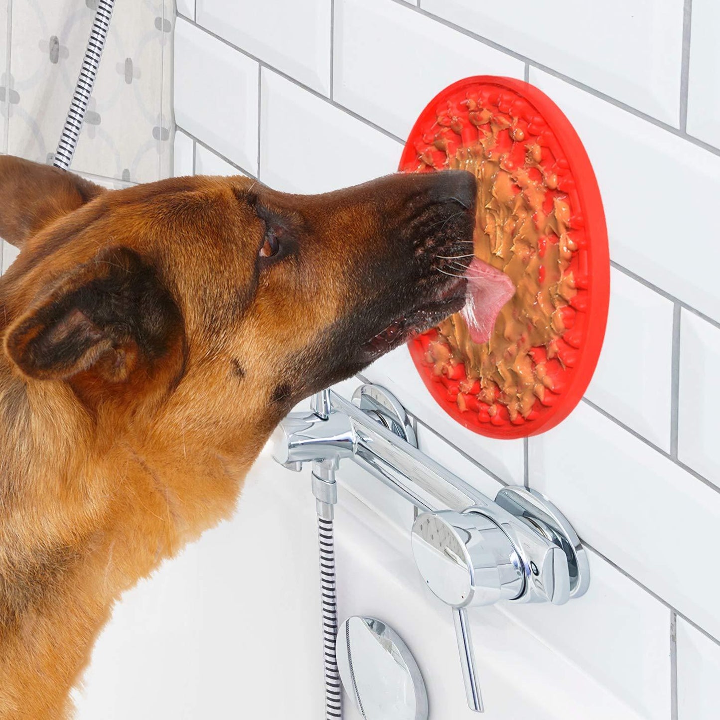 Lazy Dog licking pad